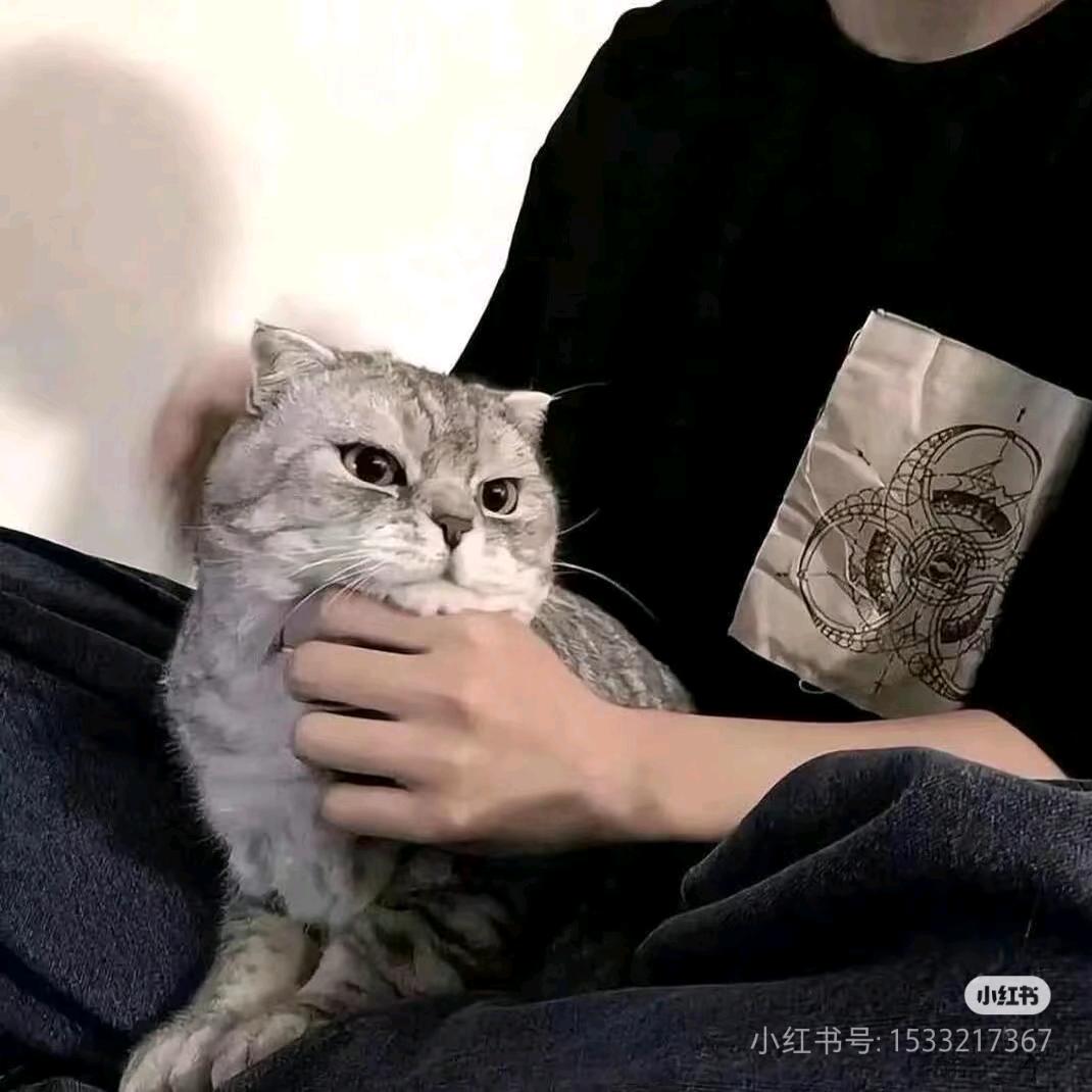 爱吃桃的桃子