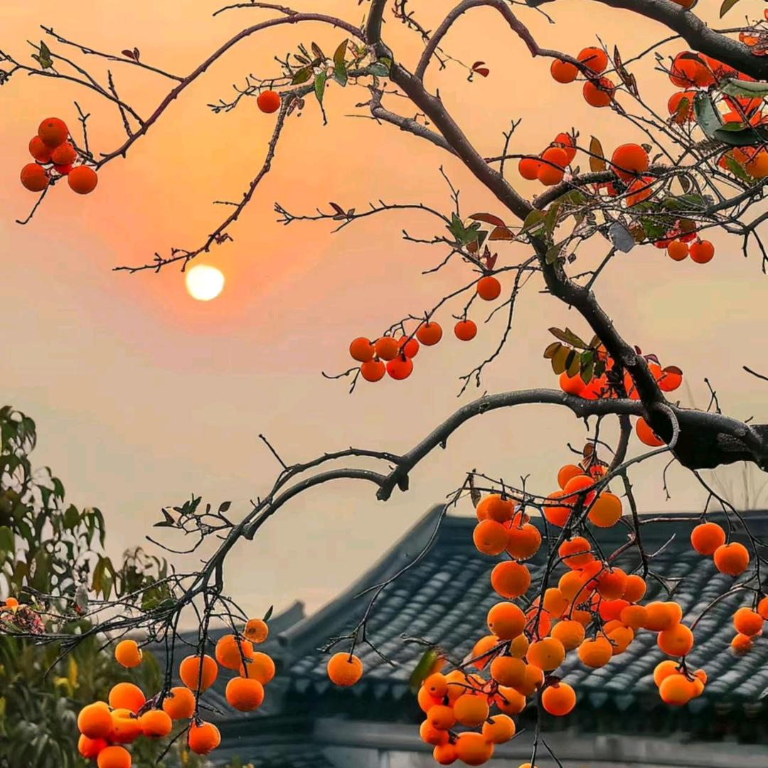 仪哈易