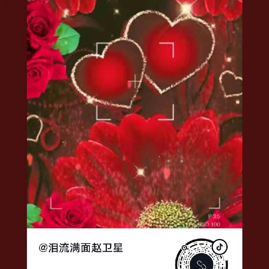 泪流满面赵卫星