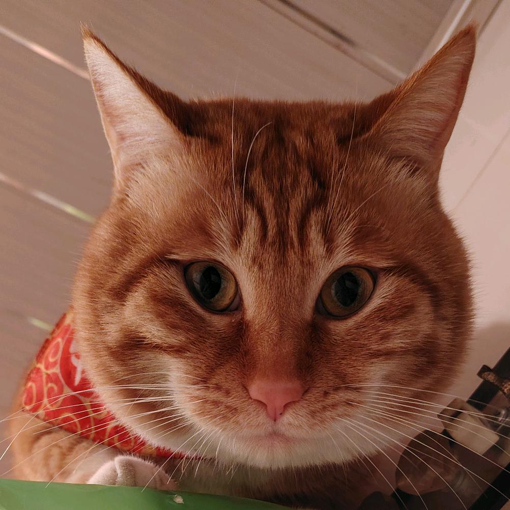 云安食品调料铺子