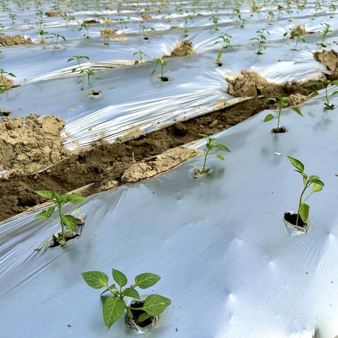 坤合塑料膜工厂店