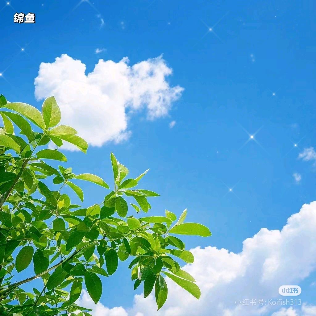 余生平安喜乐☆