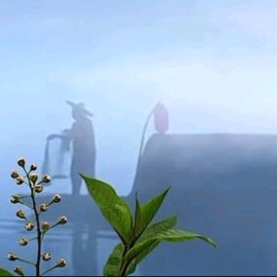 别知己