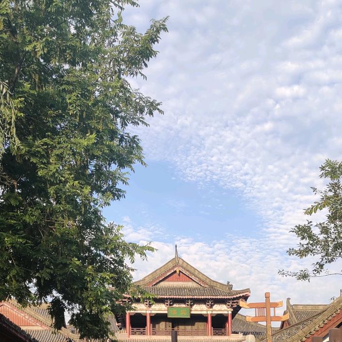 华哥绿植基地