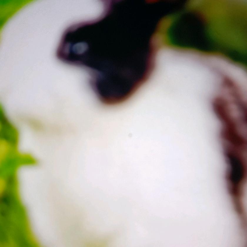 用户3141382543143王哥