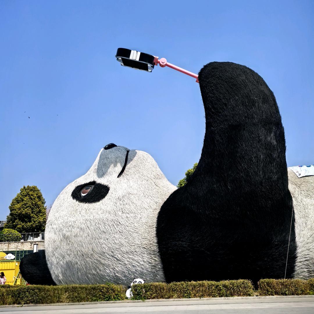 冷眸、印温柔℃