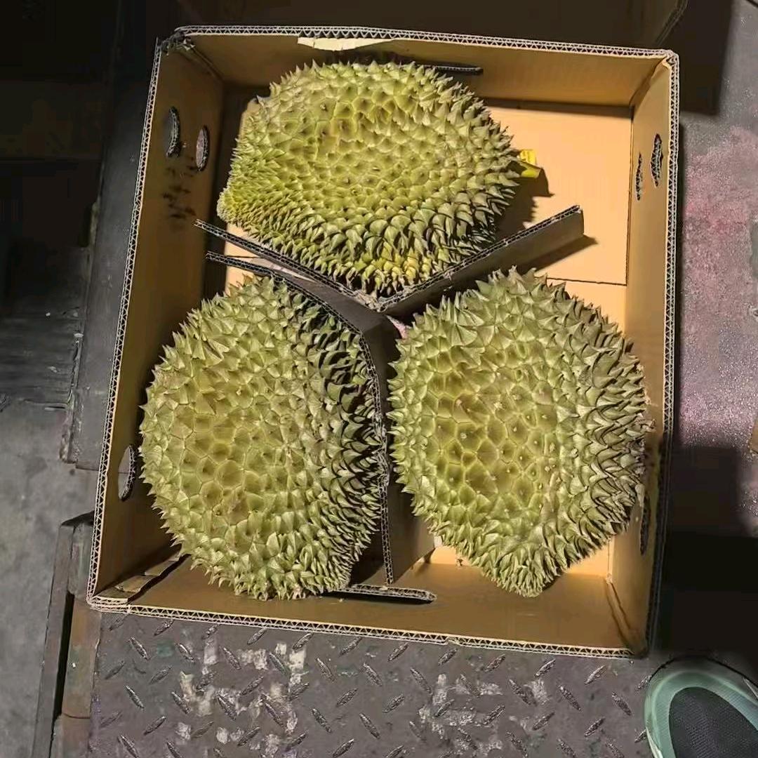 陈鲜生（广州江南 榴莲车厘子业务）