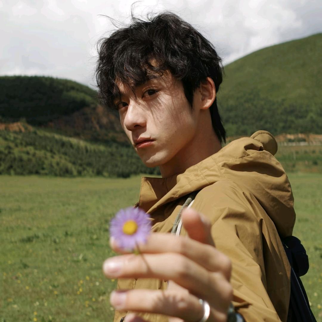 诺宇