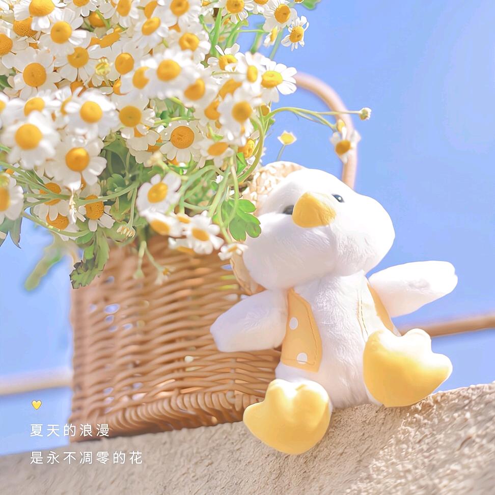 🌸 浅笑不语
