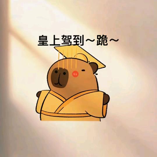 开会发呆选手