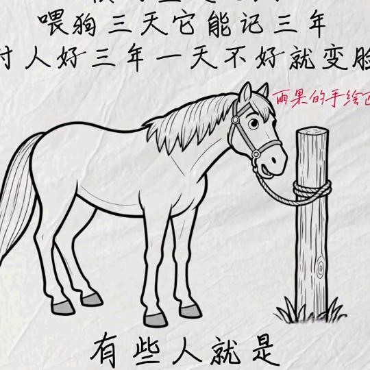 胡陆饭宝