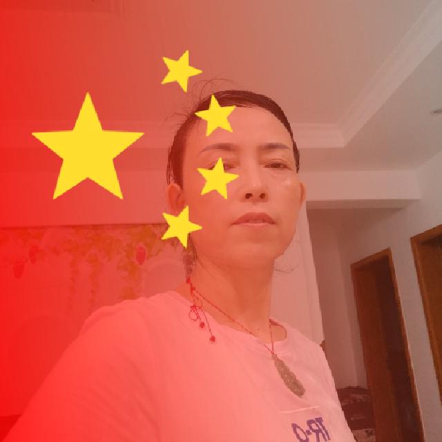 尚杨610
