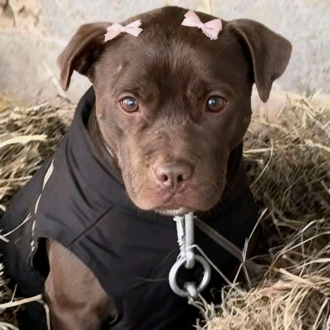 不发脾气只发财🧚‍♀️