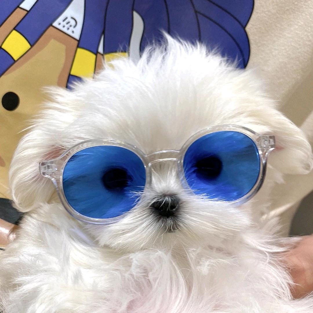 曲靖乾元新景汽车销售有限公司永安路分公司