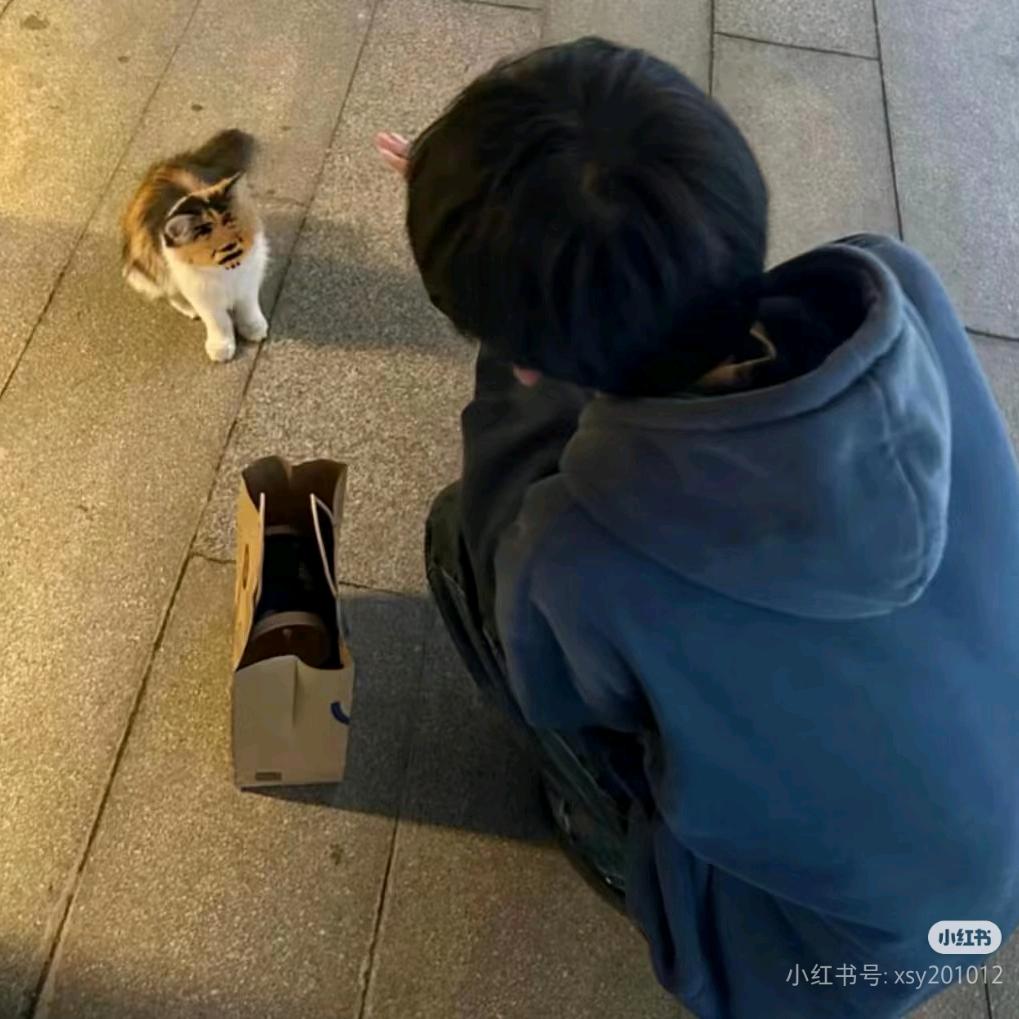 泪目