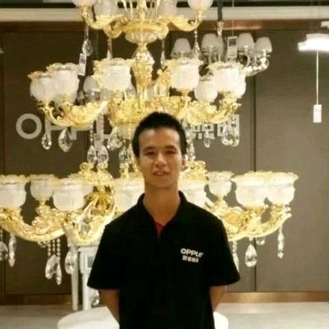 杨哥哥专业卖灯……
