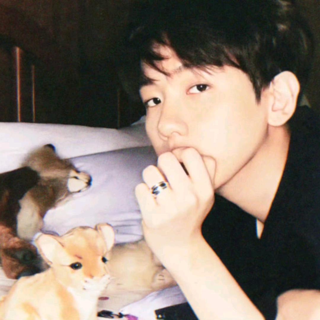 永駐太阳（被边伯贤回复版）