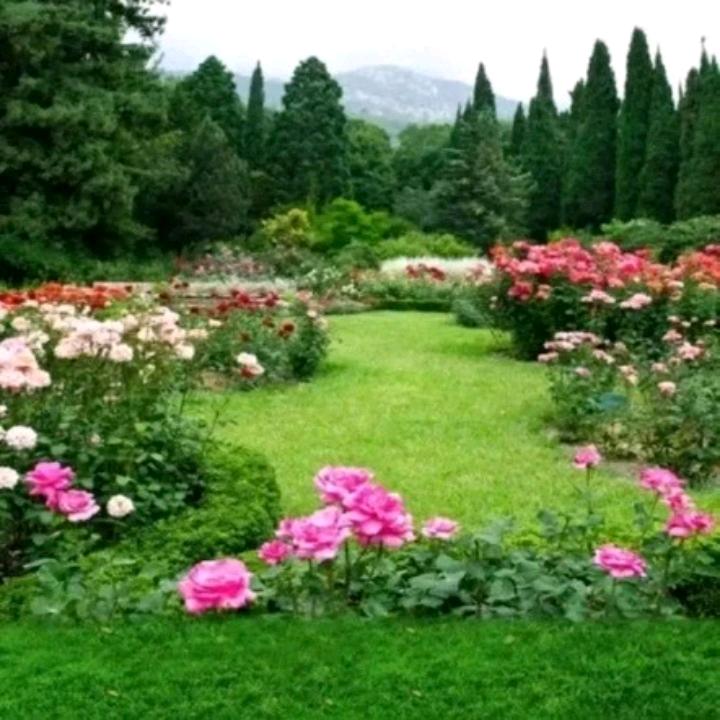 🙏🏻与你擦肩而过🙏🏻