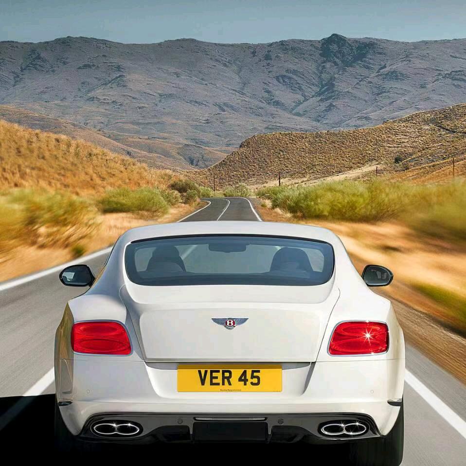 🌈🌈叶孤诚(1314)🔥🔥