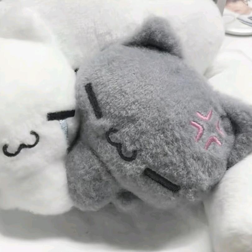 鸭腿