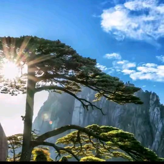 .❤快乐每一天❤