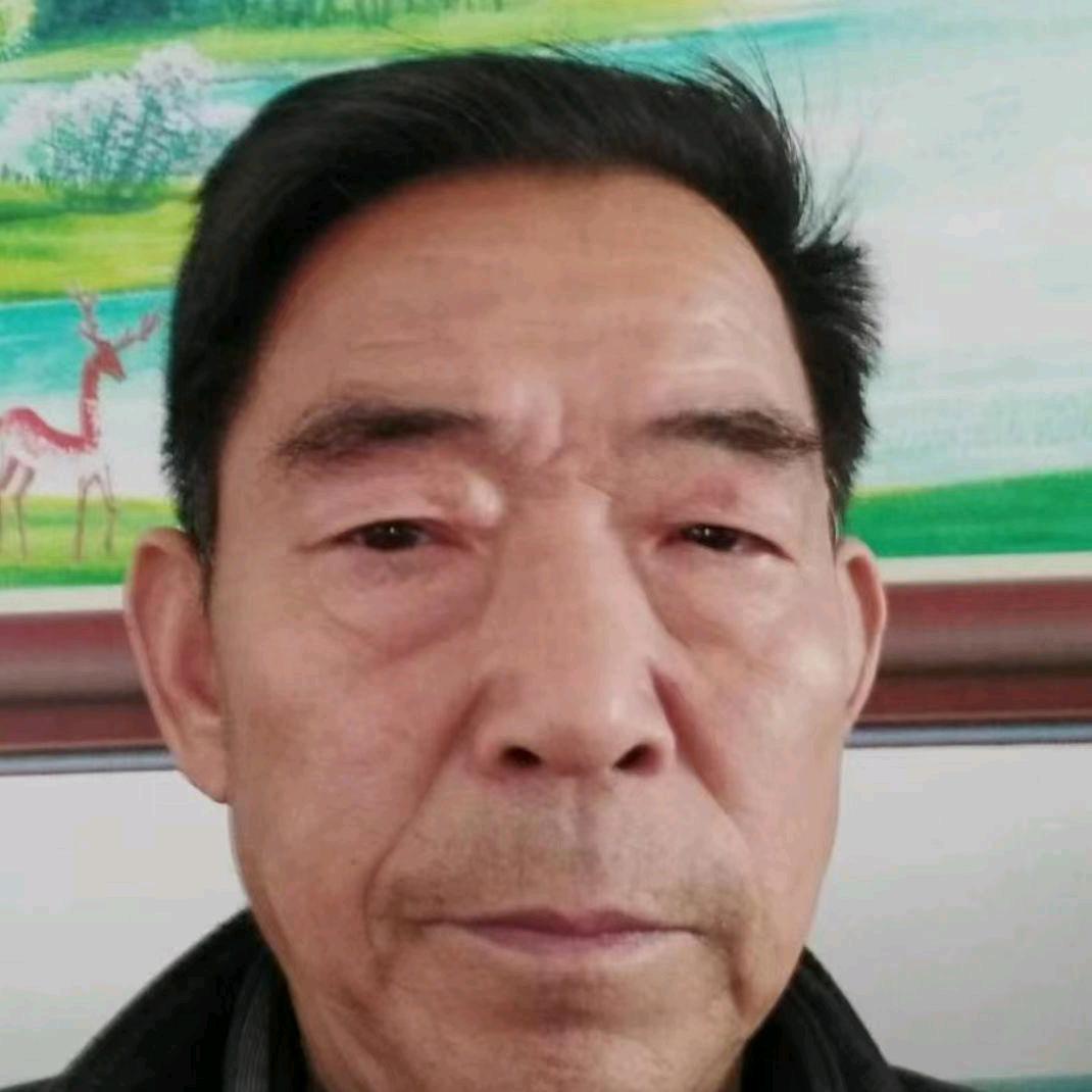 骏马 奔驰