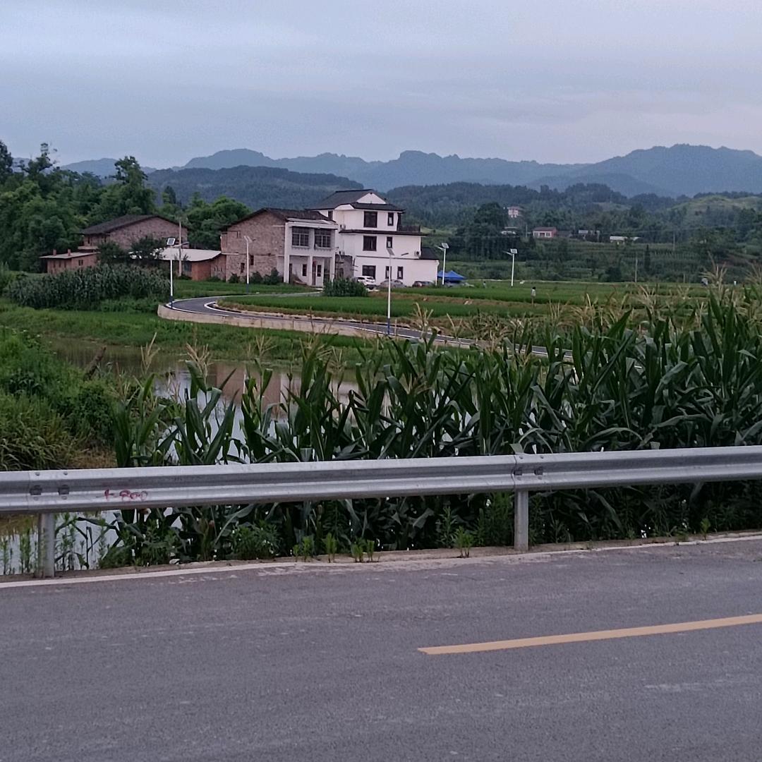 菊头像