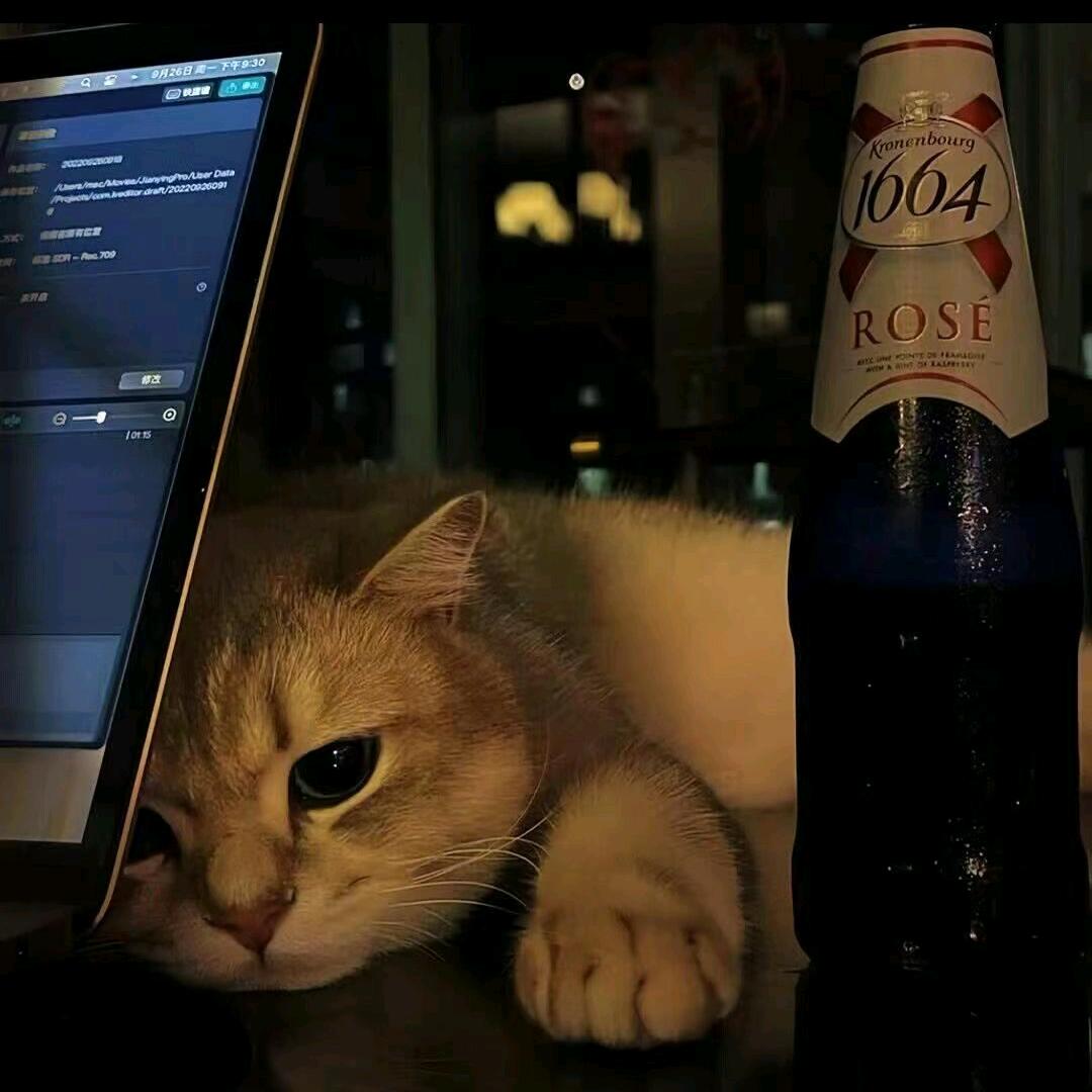 南风与猫