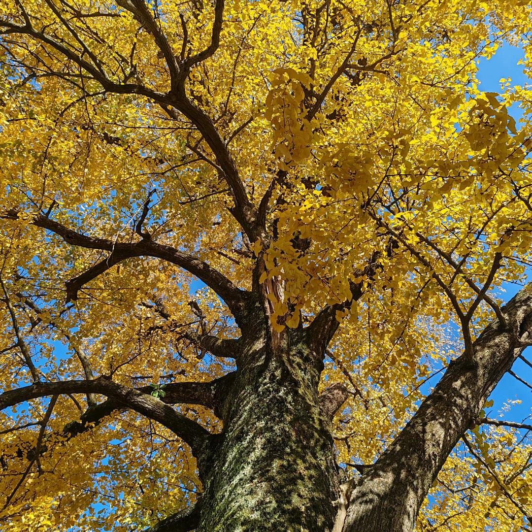 义乌市渲彩数码印花工厂