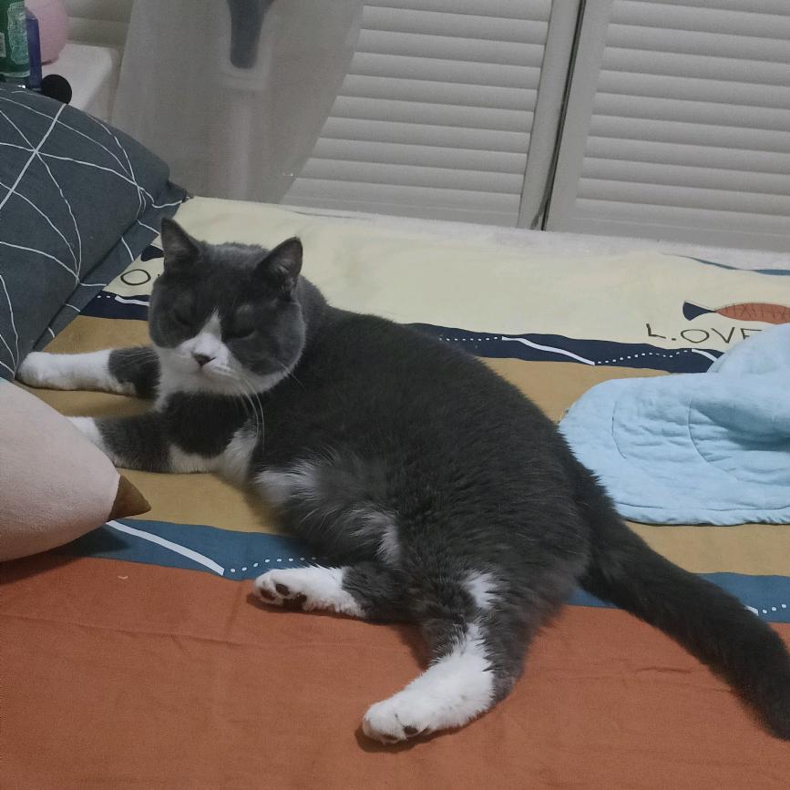 薇婷^O^心情头像