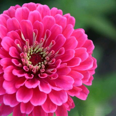 春暖花开🌸