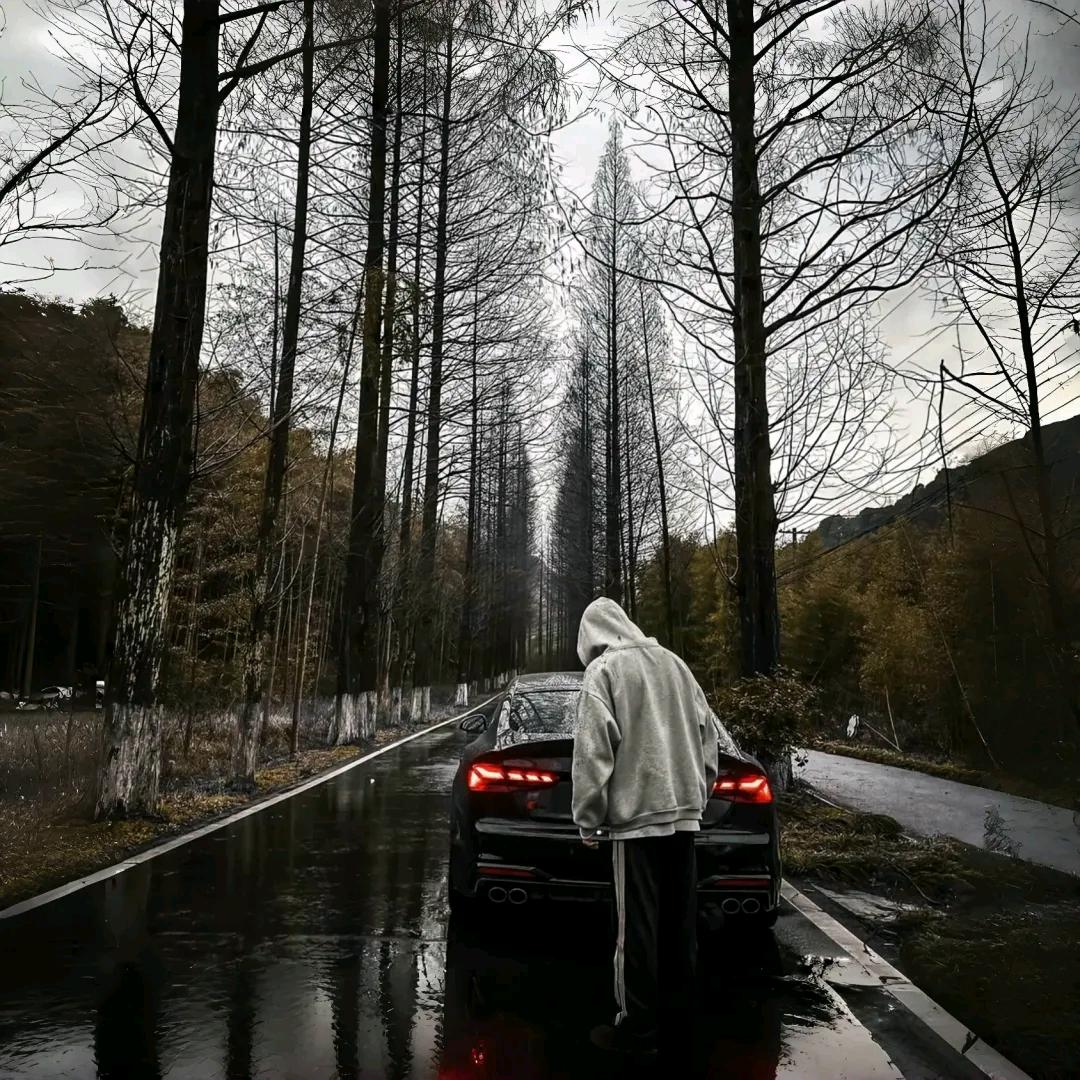 天天向上好好学习