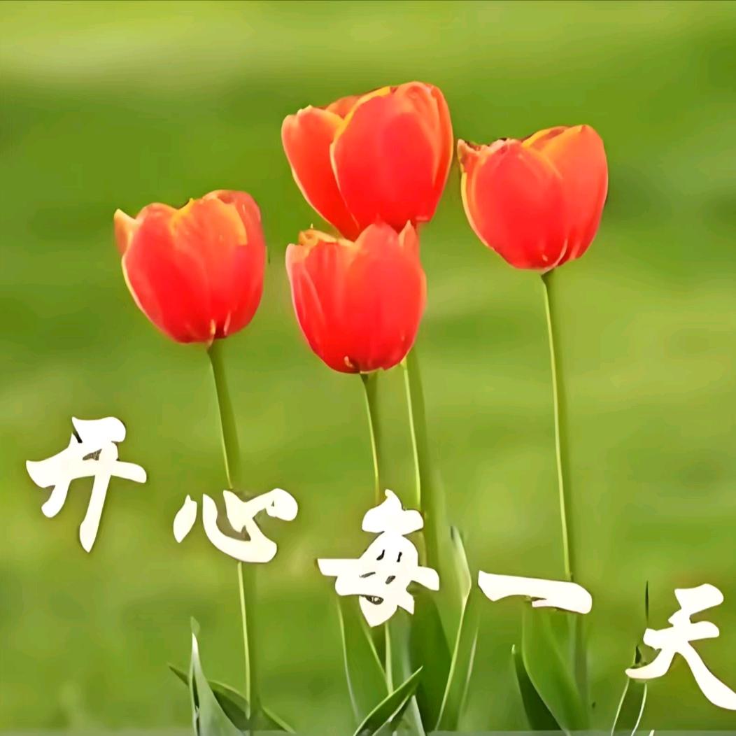 用户名49261884头像