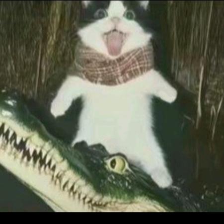 二阶导