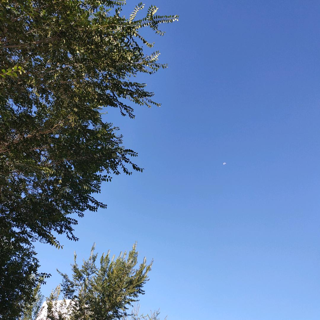璟鹤头像