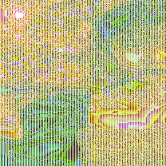 王愿霞