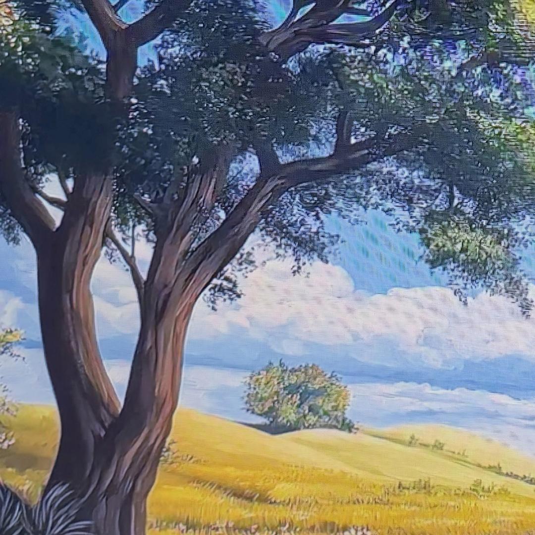 嘉多宝  ⁷🇨🇳