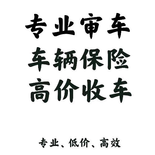 郸城张维汽车服务有限公司
