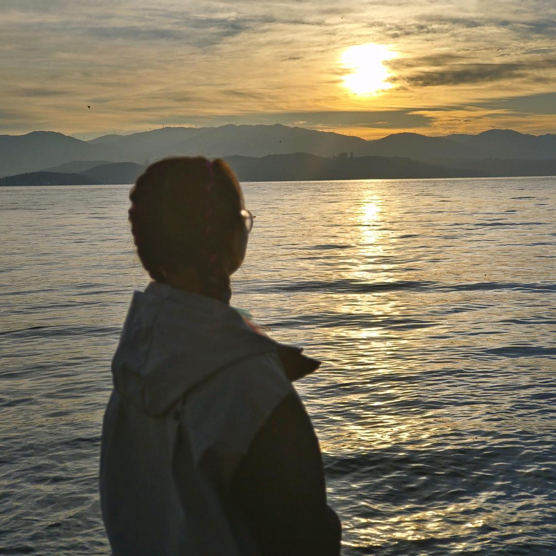 🌈   兔兔不讲理