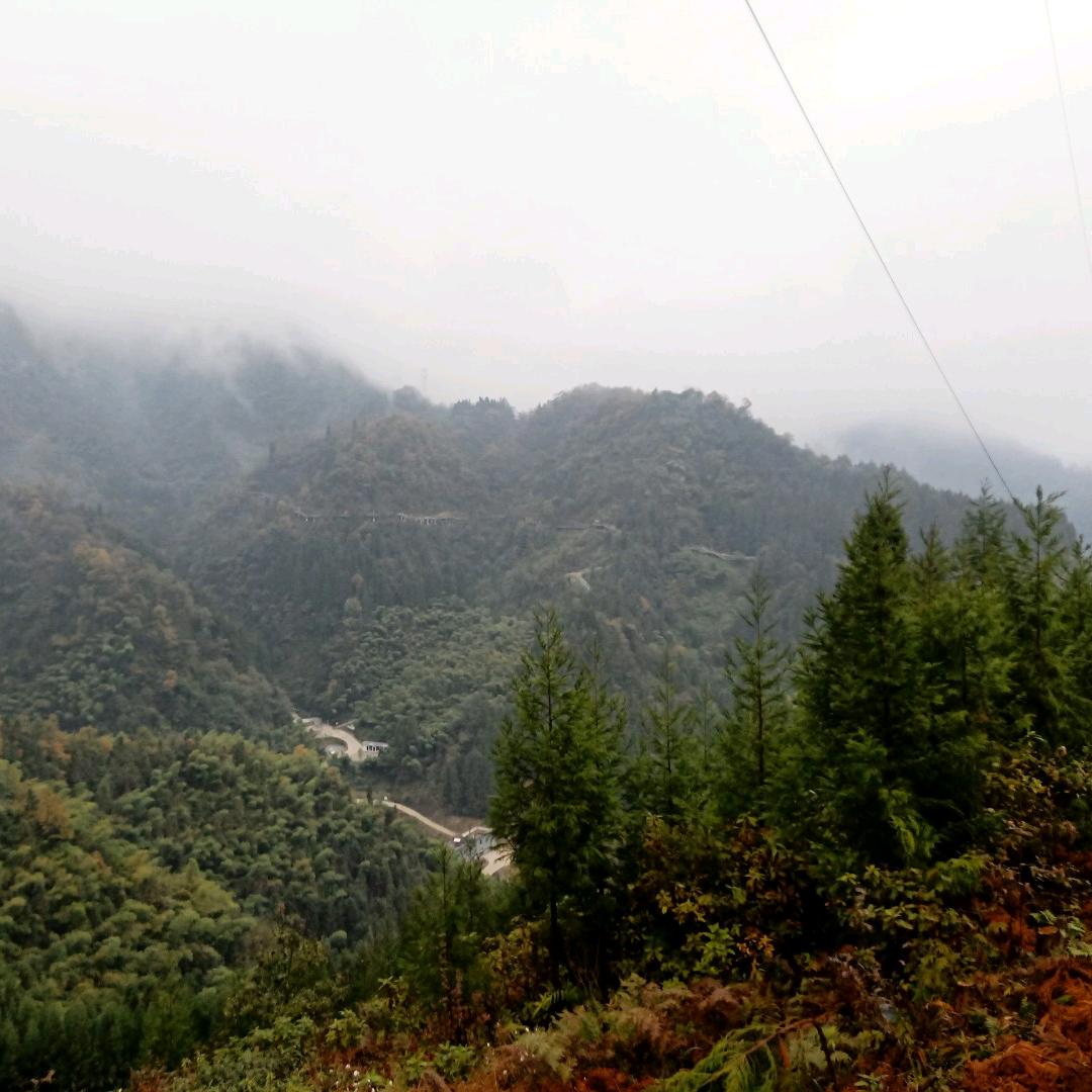 香果