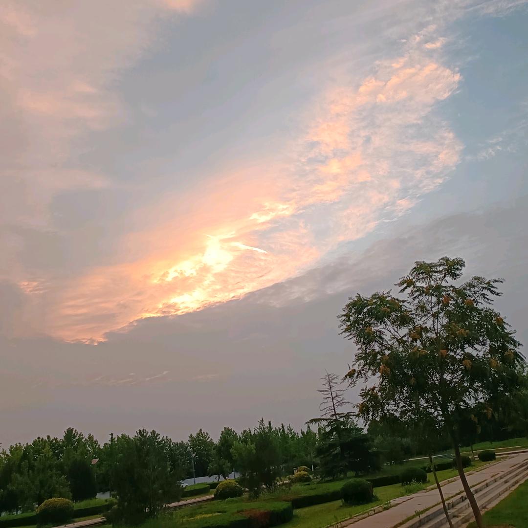 大梦初醒