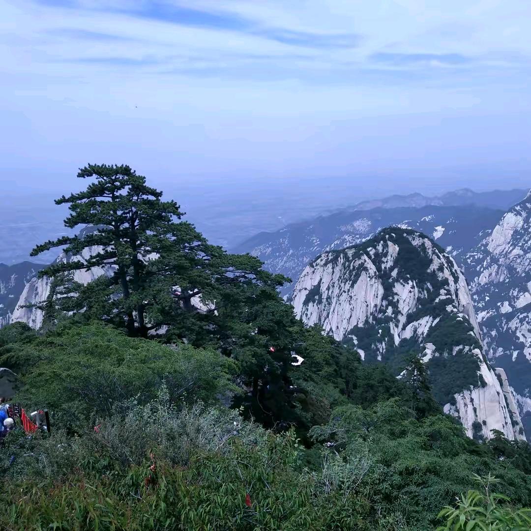 闻军