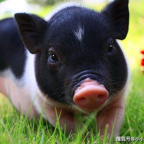 一九八三