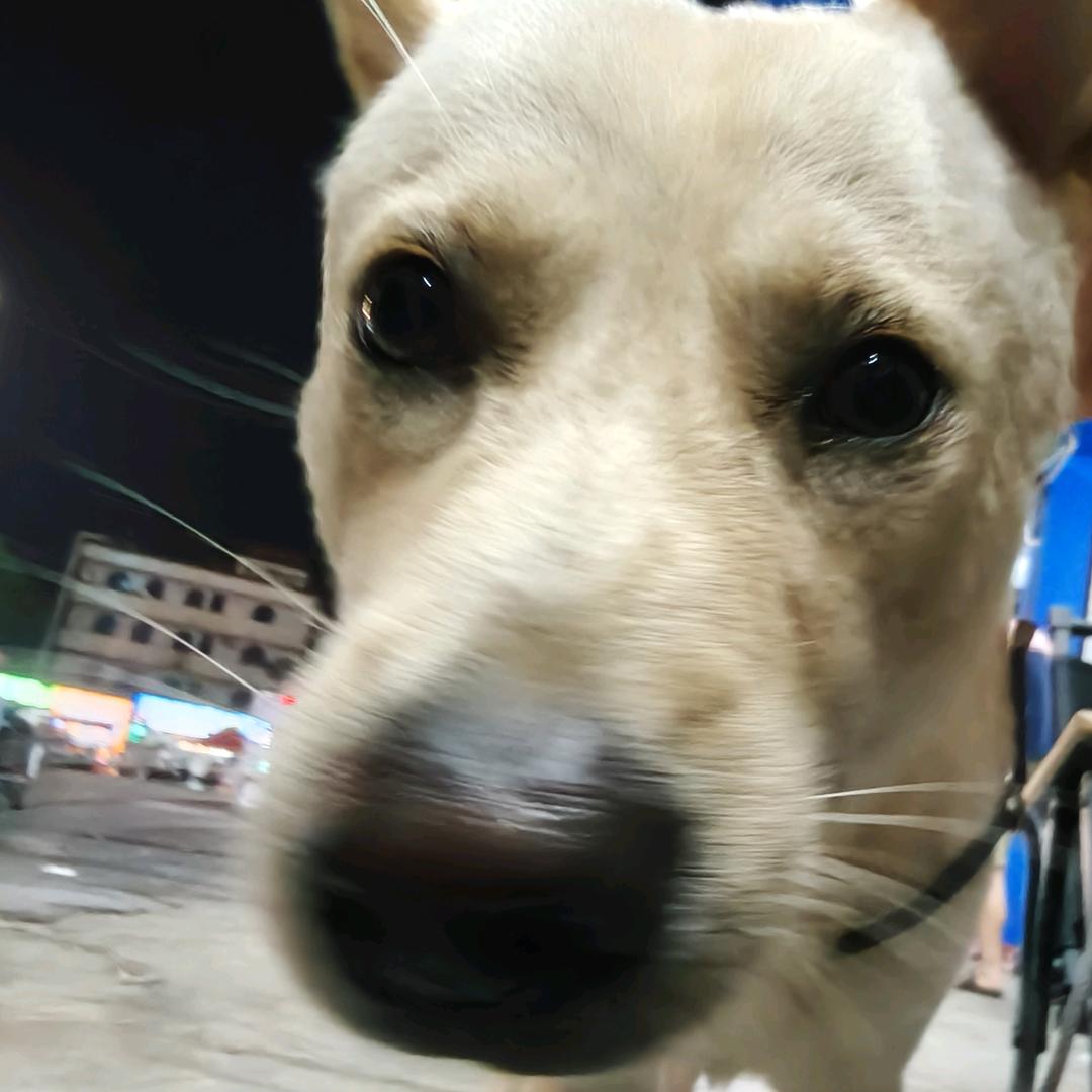 泉泉