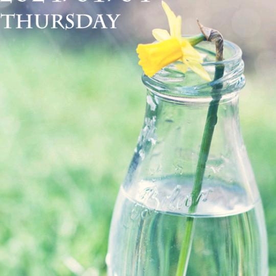 🌈🌈逆流而上🌈🌈