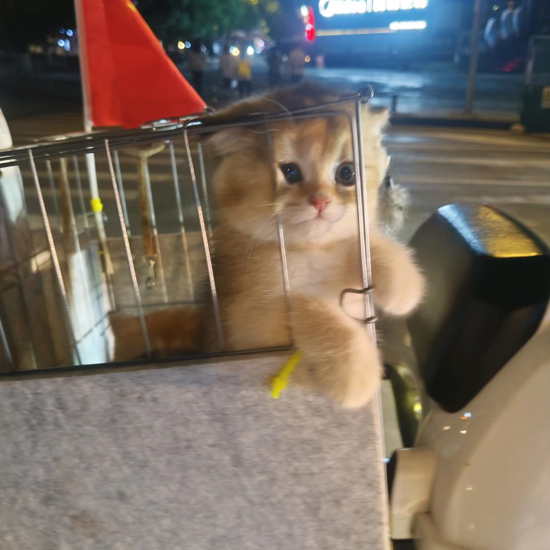 ꧔ꦿ᭄²⁰²6多财多亿