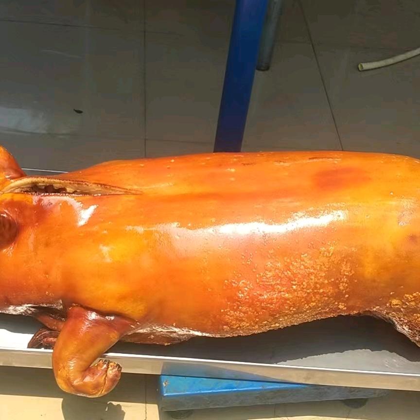 dongguanshao18