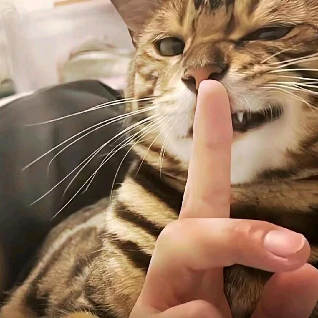 成林的创业日记