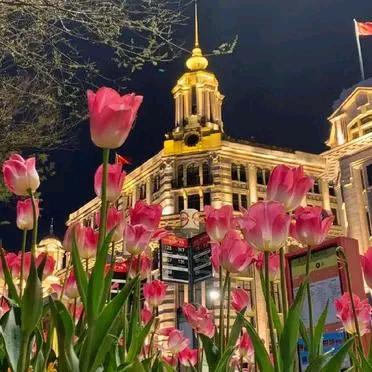 ℳ沾雨青衣醉清尘꧔