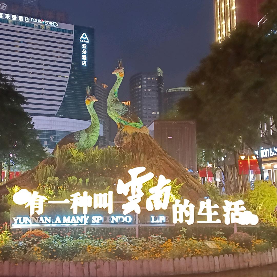 🏃错过凡间🧚‍♀️